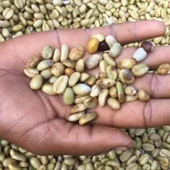 Que signifie le score du café que je consomme ? Que signifie le score du café que je consomme ?