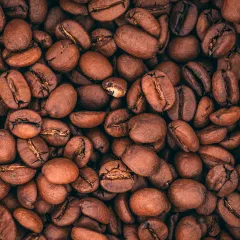 Qu'entendons-nous par décaféiné sans produits chimiques ? Qu'entendons-nous par décaféiné sans produits chimiques ?