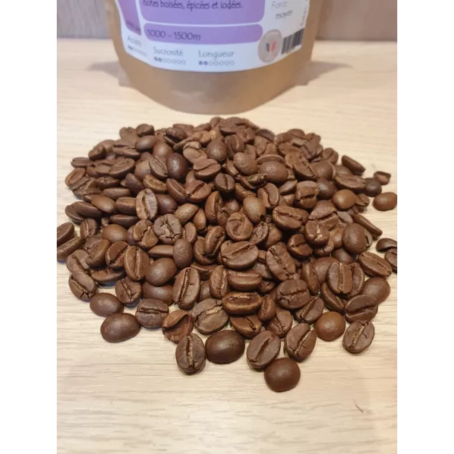 Café" 'moussonné" Inde Karnataka Malabar