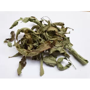 Infusion "verveine" Infusion "verveine"