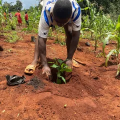 Zoom sur le "Cameroun Terra Noun" Zoom sur le "Cameroun Terra Noun"