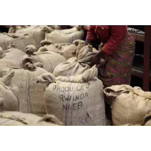 Café "Lavé" Rwanda Titus 100% Arabica