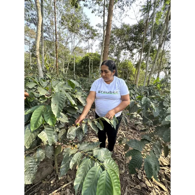Café "Lavé' Pérou Fleur de Montagne