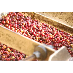 Blend "24" 100% Arabica