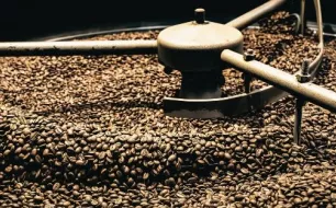 Week-end portes ouvertes chez Tip Top Coffee