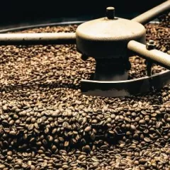 Week-end portes ouvertes chez Tip Top Coffee