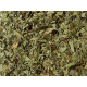 Infusion "menthe poirvée"
