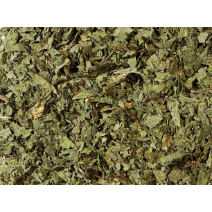 Infusion "menthe poirvée"
