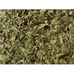 Infusion "menthe poirvée"