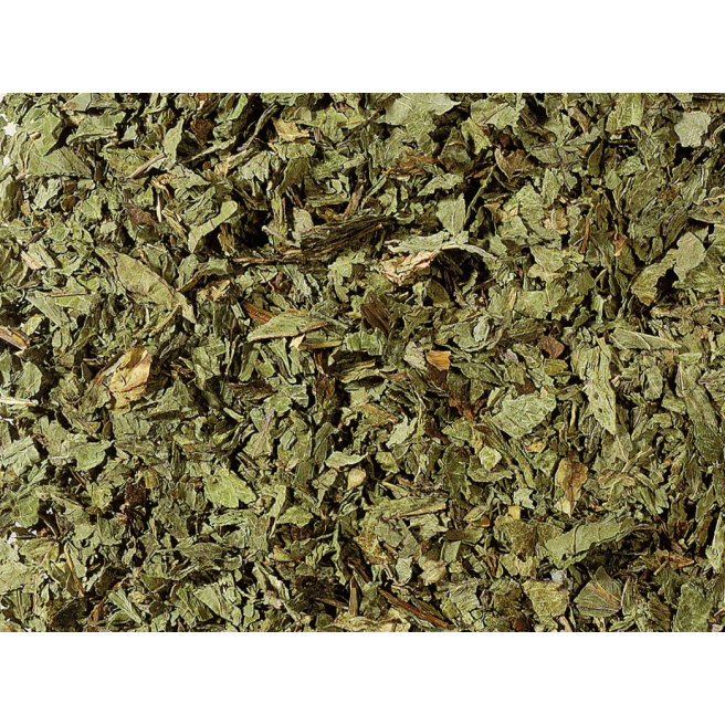 Infusion "menthe poirvée"