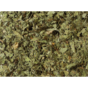 Infusion "menthe poirvée"