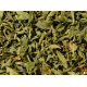 Infusion "verveine"