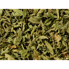 Infusion "verveine"