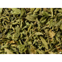 Infusion "verveine"