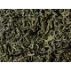 Thé vert du Vietnam FOP 100gr
